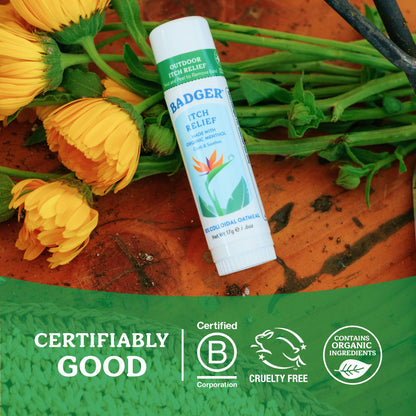 Badger Itch Relief Stick, Anti-Itch Cream for Bug Bites 12ct