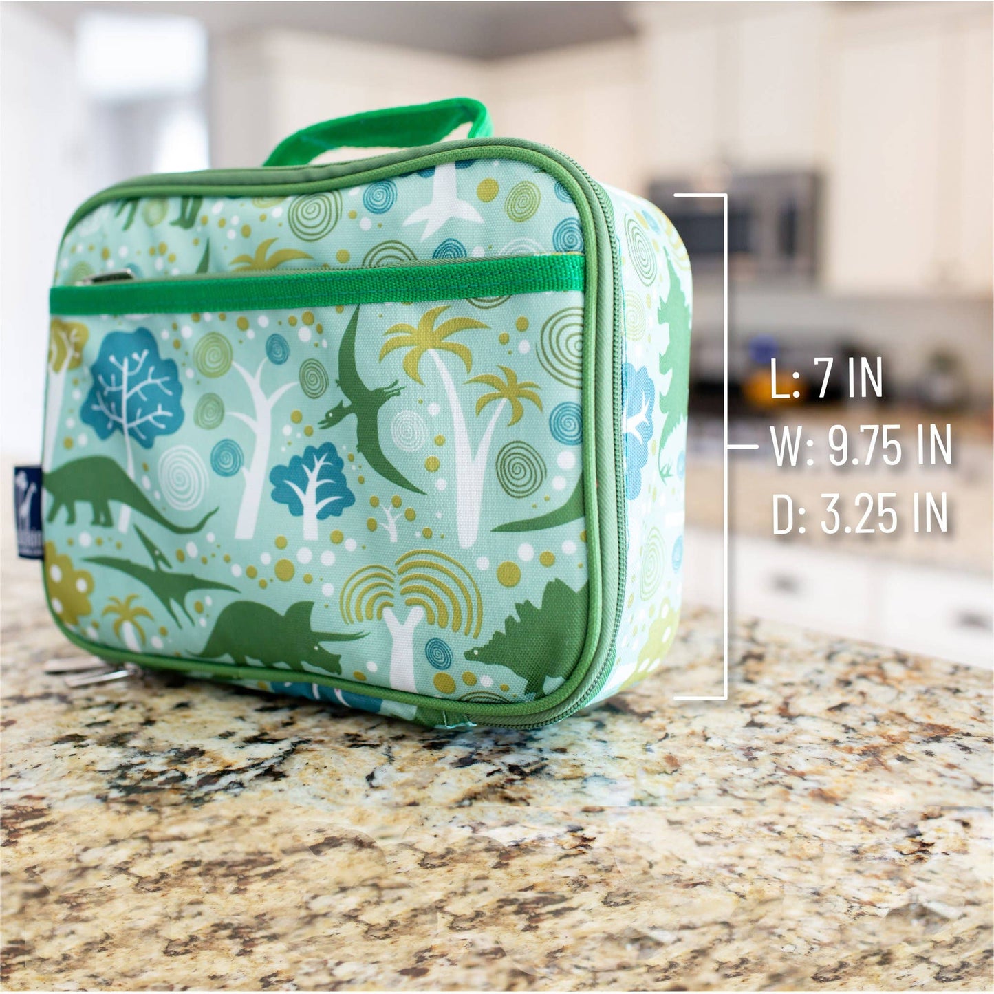 Dinomite Dinosaurs Lunch Box